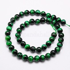 Natural Tiger Eye Beads Strands&nbsp;G-G544-6mm-03