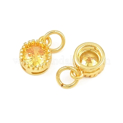Brass Pave Cubic Zirconia Charms&nbsp;CU-CBA3D67-02G-07