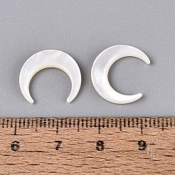 Natural White Shell Beads&nbsp;SSHEL-T012-07-01