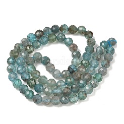 Natural Apatite Beads Strands&nbsp;G-RM250101-D1-A