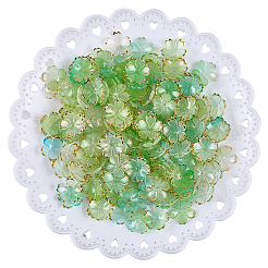アクリルビーズキャップ180個  5  - 花びらの花  黄金の縁を持つ  ライトシアン  17.5x18x5mm  穴：1.2mm&nbsp;OACR-PA0001-37B