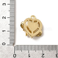 Alloy Pendants&nbsp;FIND-H015-10G-01