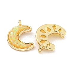 Translucent Resin Pendants&nbsp;KK-M291-23G-01