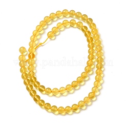 Natural Amber Beads Strands&nbsp;G-Q1006-01A