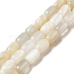 天然ホワイトムーンストーンビーズ連売り  コラム  9x6mm  穴：0.9~1mm  約20~21個/連  7.09~7.48インチ（18~19cm）&nbsp;G-G980-17