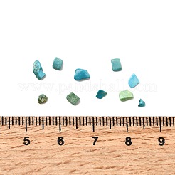 Dyed & Heated Natural Magnesite Chip Beads&nbsp;G-L453-01