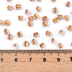 内側が透明なガラスシードビーズ6/0個。  三角形  砂茶色  3.5x3.5x3.5mm  穴：0.9mm  約4500個/ポンド&nbsp;SEED-N006-003F