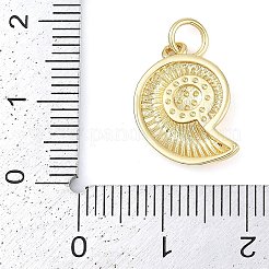 ラックメッキ真鍮チャーム  長持ちメッキ  カドミウムフリー＆鉛フリー  18KGP本金メッキ  丸カン付き  シェル形状  16x12x2.5mm  穴：3.5mm&nbsp;KK-P287-38D-G
