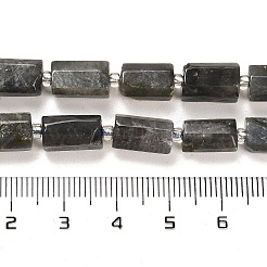 Natural Larvikite Beads Strands&nbsp;G-G068-A21-01