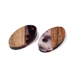 Transparent Resin and Walnut Wood Pendants&nbsp;RESI-T057-03B
