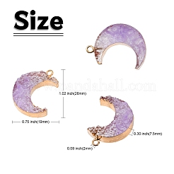 Opaque Resin Pendants&nbsp;RESI-CJ0002-37