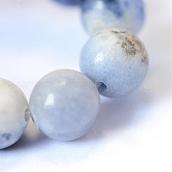 Natural Sodalite Round Bead Strands&nbsp;G-E334-10mm-08