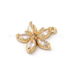 Brass Micro Pave Cubic Zirconia Charms&nbsp;LS-KK-D371-04F-G