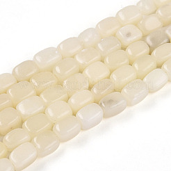 Natural White African Opal Beads Strands&nbsp;G-N346-04A-10