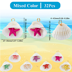32Pcs Summer Beach Natural Shell Pendants&nbsp;FIND-SC0012-34