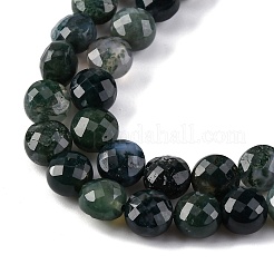 Natural Moss Agate Beads Strands&nbsp;G-C179-A21-03