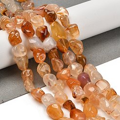 Natural Carnelian Beads Strands&nbsp;G-P497-01E-83