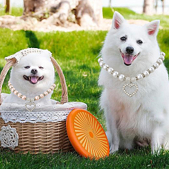 2Pcs 2 Colors Plastic Imitation Pearl Beads Pet Collar&nbsp;AJEW-CN0003-95