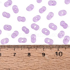 FGB Frosted Transparent Glass Seed Beads&nbsp;SEED-N013-06A-07