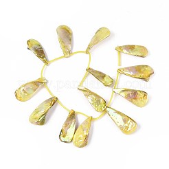 AB Color Plated Dyed Natural Freshwater Shell Beads Strands&nbsp;SHEL-T020-55D