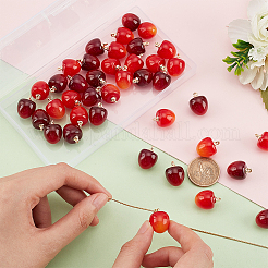 40Pcs 2 Colors Plastic Pendants&nbsp;KY-PH0001-64