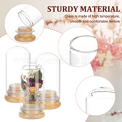 Glass Dome Cover&nbsp;DJEW-WH0034-77B