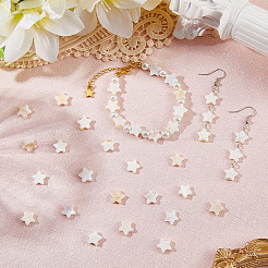 淡水貝ビーズ2本  スター  乳白色  9.5x10x3mm  穴：1mm  約40個/連  13.39インチ&nbsp;SHEL-SC0001-86