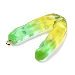 Resin Pendant&nbsp;FIND-Q107-01V-02