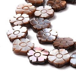 Natural Purple Shell Beads Strands&nbsp;SSHEL-G023-13A