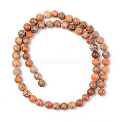 Natural American Turquoise Beads Strands&nbsp;G-S369-001B-B05