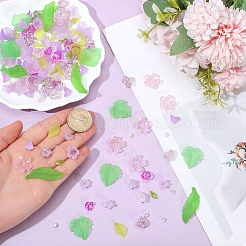DIYの葉っぱと花のパーツキット  アクリルパーツなど、  ガラス＆アクリルビーズ  スミレ  12.5x12.5x6.5mm  穴：1.5mm&nbsp;DIY-PA0001-64B