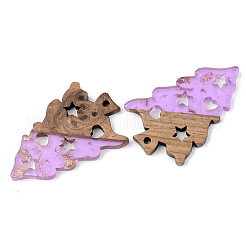 Transparent Resin & Walnut Wood Pendants&nbsp;RESI-S389-006A-B01