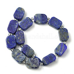 Natural Lapis Lazuli Beads Strands&nbsp;G-C098-A06-01