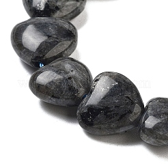 Natural Larvikite Beads Strands&nbsp;G-B022-28C