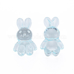Transparent Acrylic Beads&nbsp;MACR-S373-81-B07