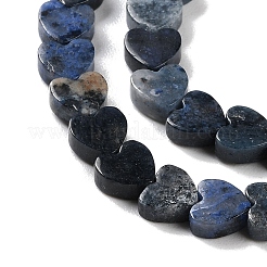 Natural Sodalite Beads Strands&nbsp;G-M403-A08-02