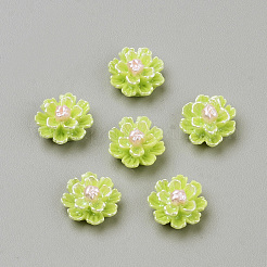 Imitation Pearl Resin Cabochons&nbsp;CRES-S301-24