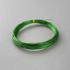 平らなアルミニウムワイヤー  DIYクラフト用  グリーン  1x0.5mm  約32.81フィート（10m）/ロール&nbsp;AW-WH0020-01E