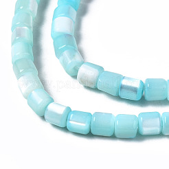Natural Trochid Shell/Trochus Shell Bead Strands&nbsp;SSHEL-N034-77-C04