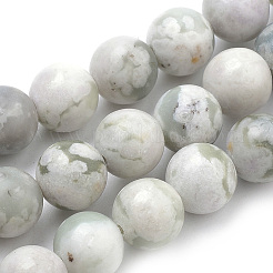 Natural Peace Jade Beads Strands&nbsp;G-S259-25-6mm