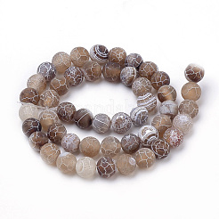 Natural Weathered Agate Beads Strands&nbsp;X-G-S259-05G-10mm