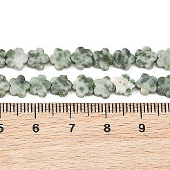 Natural Green Spot Jasper Beads Strands&nbsp;G-B138-C24-01