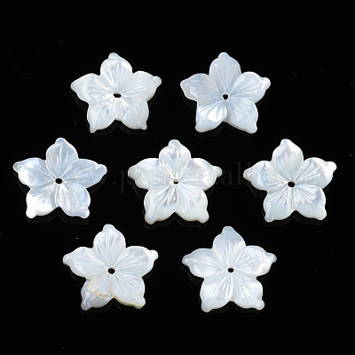 Natural White Shell Beads&nbsp;SSHEL-N027-131A-01-1
