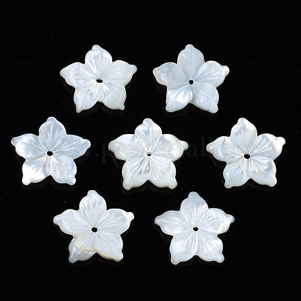 Natural White Shell Beads SSHEL-N027-131A-01-1
