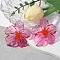 Flower Transparent Acrylic Stud Earrings, Hot Pink, 67x60mm