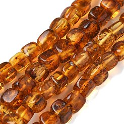 天然琥珀ビーズ連売り  キューブ  キャメル  5~7x5~7x5~7mm  穴：1mm  約60~70個/連  38~39.5cm&nbsp;G-K387-E01-01