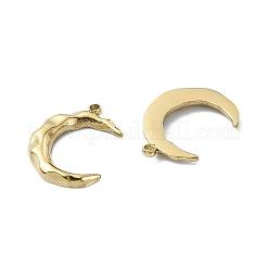 304ステンレスペンダント  ムーンチャーム  14KGP本金メッキ  15.5x12x1.8mm  穴：1.2mm&nbsp;STAS-L022-336G
