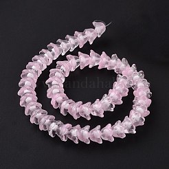 透明ガラスビーズ連売り  花  パールピンク  11~12x7.5~8mm  穴：1.4mm  約50個/連  11.42''（29センチメートル）&nbsp;LAMP-H061-01C-01