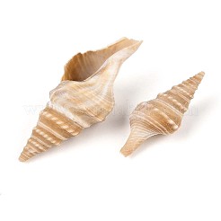 天然スパイラルシェルビーズ  ドリルなし/穴なしビーズ  小麦  20~55x8~20x7~19mm  約285個/500g&nbsp;SSHEL-N040-03