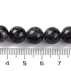 天然長石ビーズ連売り  インディゴガブロラウンドビーズ  ラウンド  10mm  穴：1mm  約38個/連  15.04''（38.2センチメートル）&nbsp;G-NH0033-A01-03